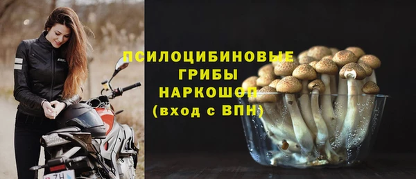 spice Богородицк
