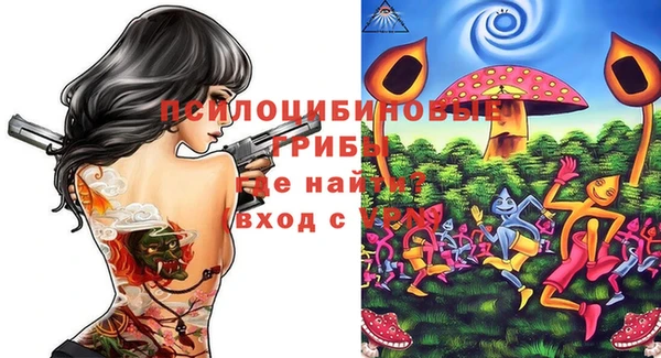 дмт Богданович