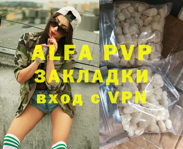 spice Богородицк