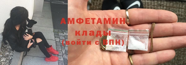 spice Богородицк
