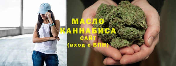 spice Богородицк