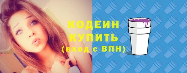 spice Богородицк