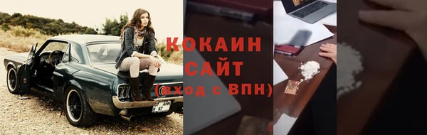 дмт Богданович