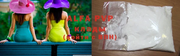 дмт Богданович