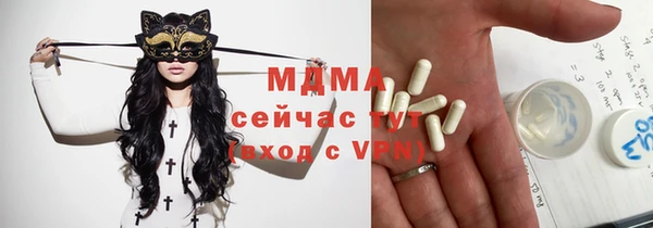 spice Богородицк