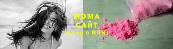 дмт Богданович
