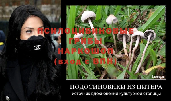 экстази Богородск