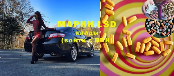 spice Богородицк