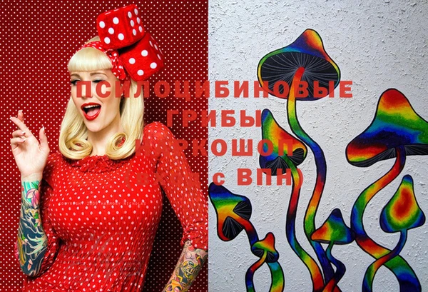 spice Богородицк