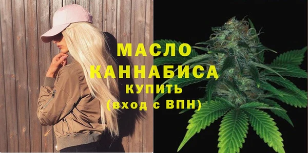 spice Богородицк