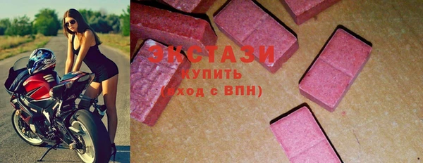 дмт Богданович