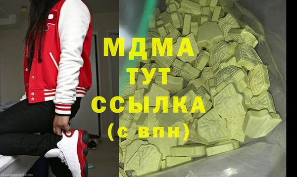 дмт Богданович