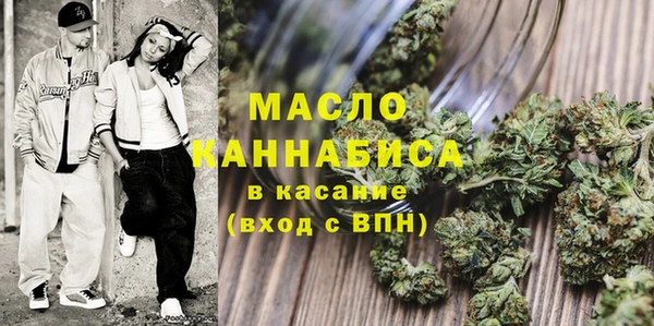 spice Богородицк