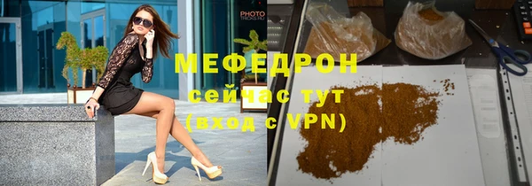 spice Богородицк