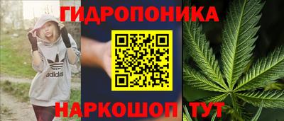 амф Мариинск