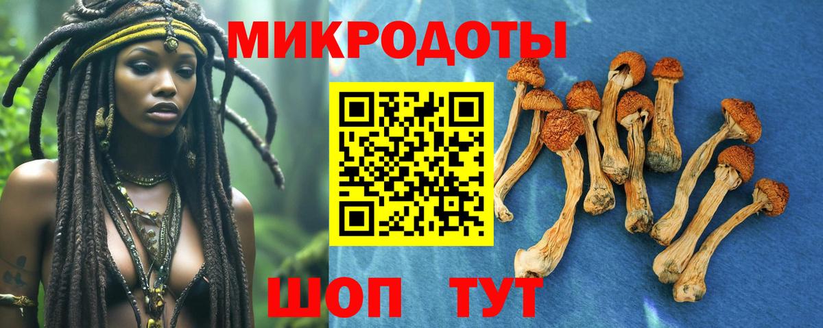 Галлюциногенные грибы мухоморы Горячий Ключ